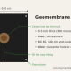 Diagram of a square geomembrane tree mat with a center hole and slit