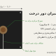 طرح مالچ پلاستیکی دور درخت از ورق ژئوممبران با سوراخ مرکزی و شکاف